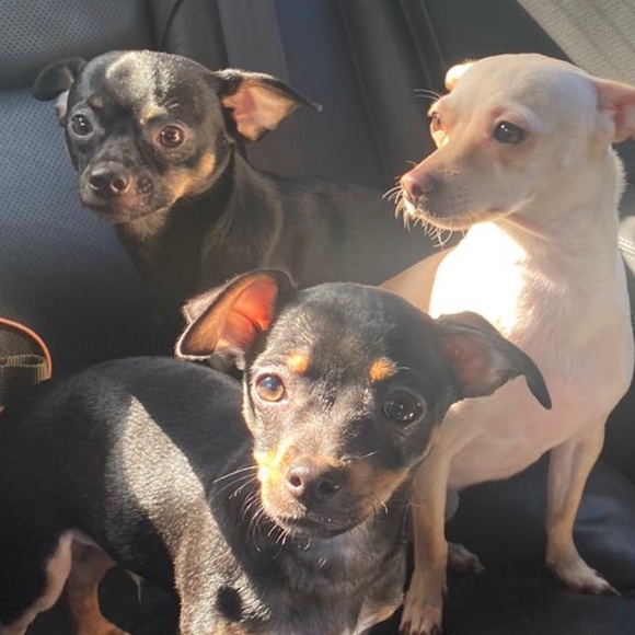 about me! - Picture 2 of 6